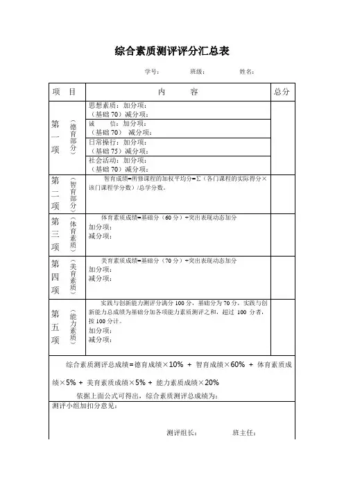 综合测评评分汇总表格(个人)(1)