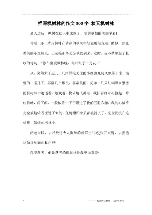 描写枫树林的作文300字 秋天枫树林