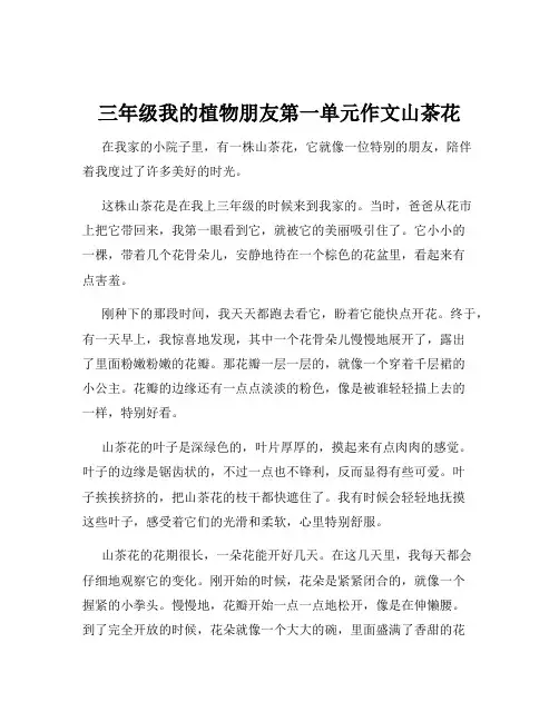 三年级我的植物朋友第一单元作文山茶花