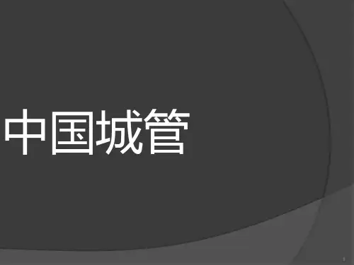 中国城管 PPT课件