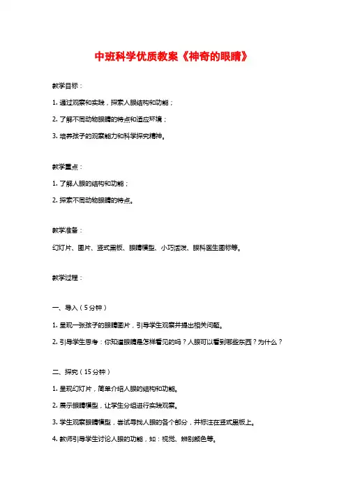 中班科学优质教案《神奇的眼睛》