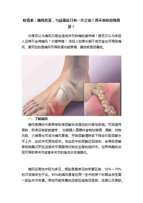 虾青素：痛风危害，与尿毒症只有一步之遥！再不看你追悔莫及！