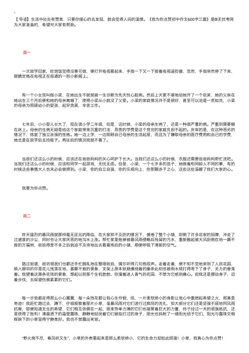 我为你点赞初中作文600字三篇