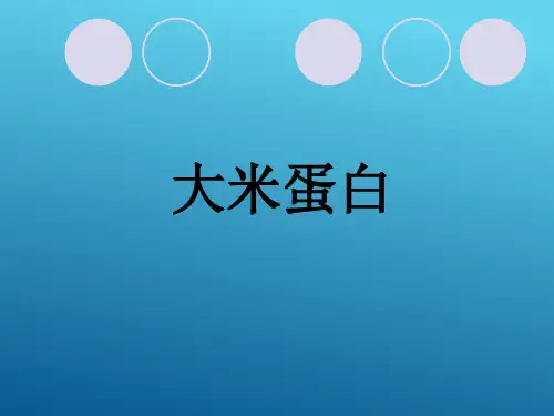 谷物蛋白的制取 大米蛋白