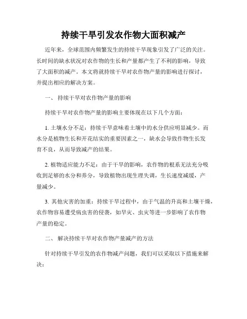 持续干旱引发农作物大面积减产
