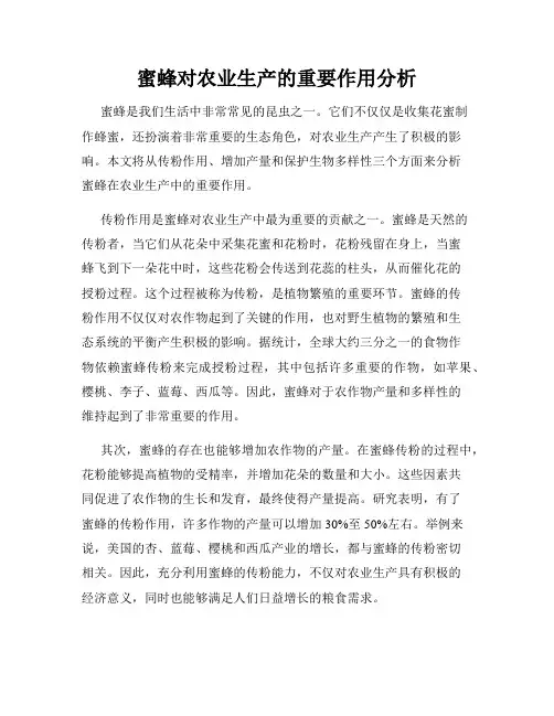 蜜蜂对农业生产的重要作用分析