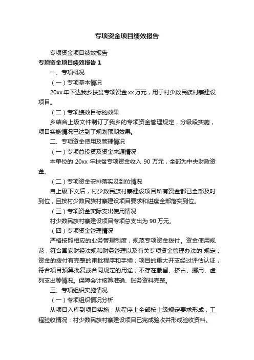专项资金项目绩效报告