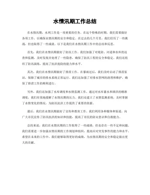水情汛期工作总结