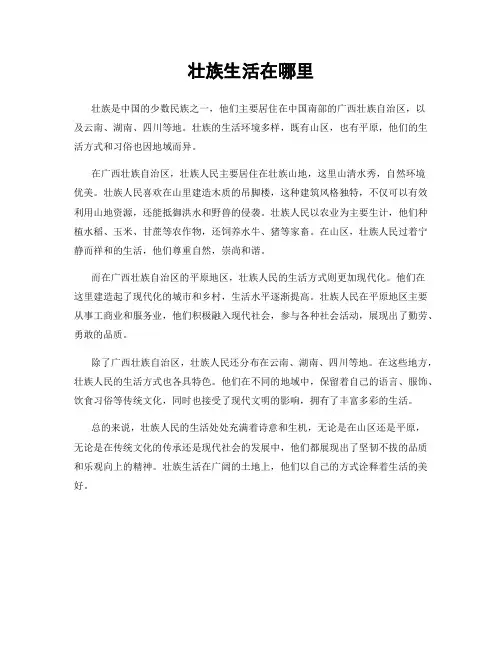 壮族生活在哪里