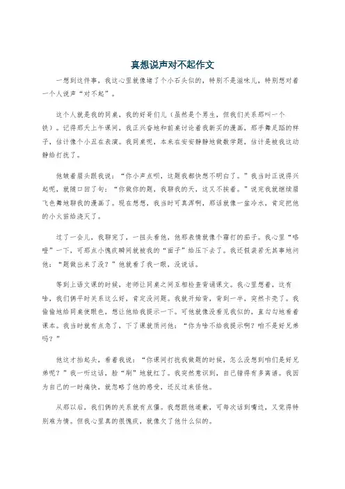 真想说声对不起作文