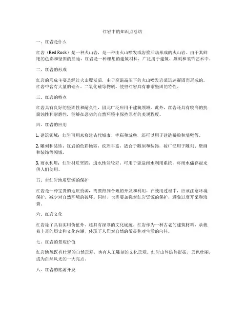 红岩中的知识点总结