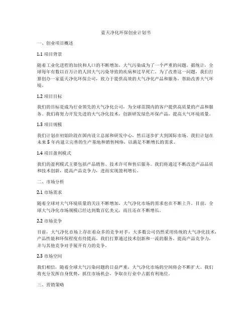 蓝天净化环保创业计划书