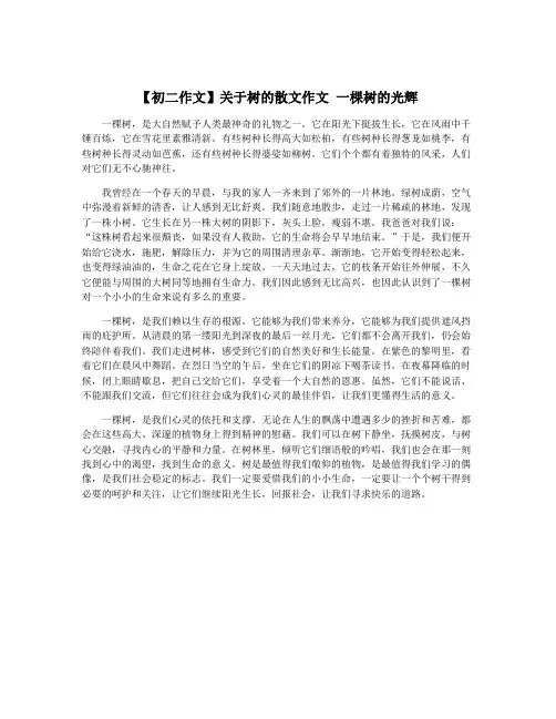 【初二作文】关于树的散文作文 一棵树的光辉