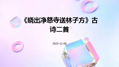 《晓出净慈寺送林子方》古诗二首