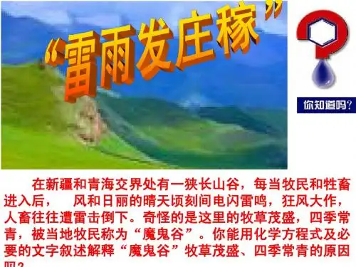氮氧化物的产生及转化