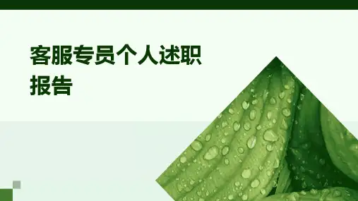 客服专员个人述职报告PPT