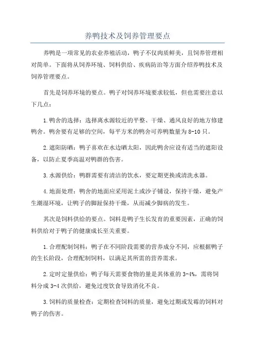 养鸭技术及饲养管理要点