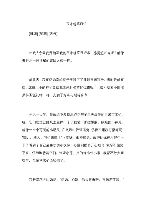 玉米观察日记