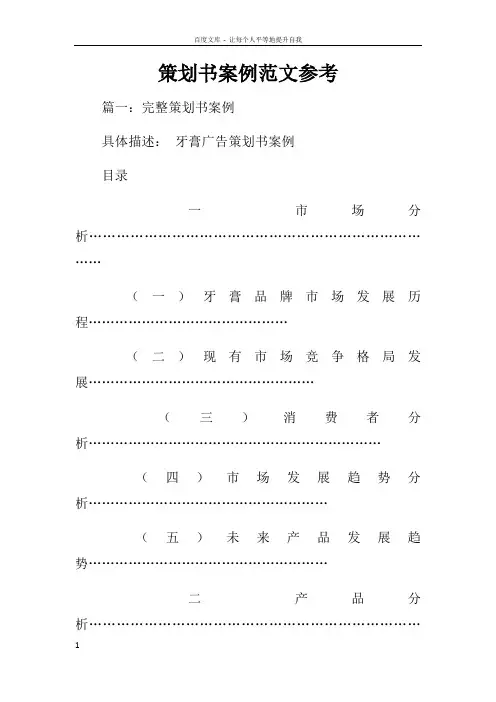 策划书案例范文参考