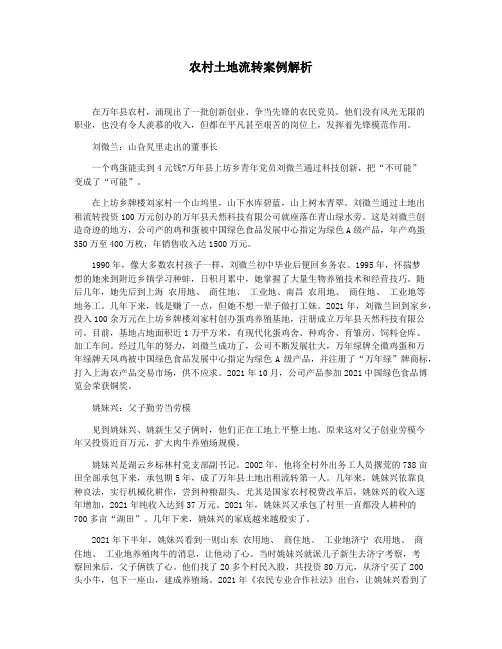 农村土地流转案例解析