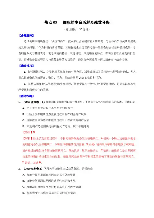 2020年高考生物热点专练03 细胞的生命历程及减数分裂(解析版)