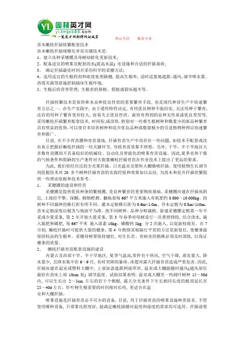 苗木嫩枝扦插快繁配套技术