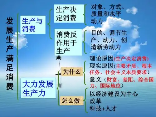 政治：2.4.2《我国的基本经济制度》课件(新人教必修1)3