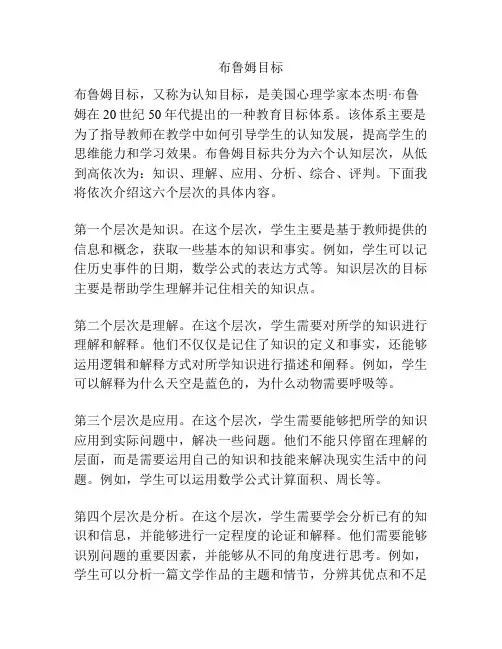 布鲁姆目标