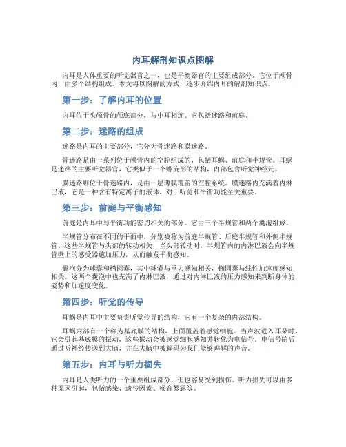 内耳解剖知识点图解