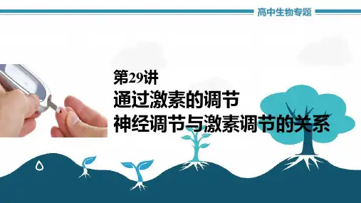 高中生物《第29讲通过激素的调节》课件