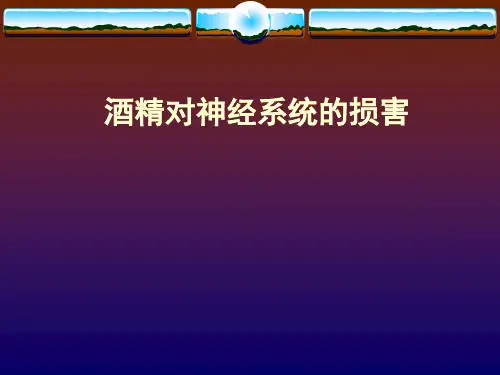 酒精对神经系统的损害