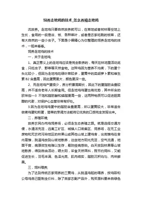 饲养走地鸡的技术_怎么养殖走地鸡