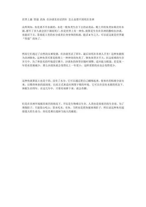 世界上最 坚强 的鱼 在沙漠里存活四年 怎么也想不到死在非洲