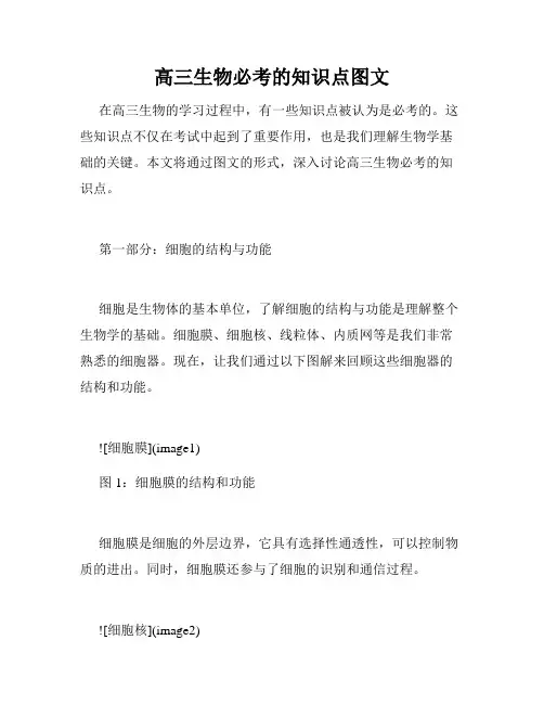 高三生物必考的知识点图文
