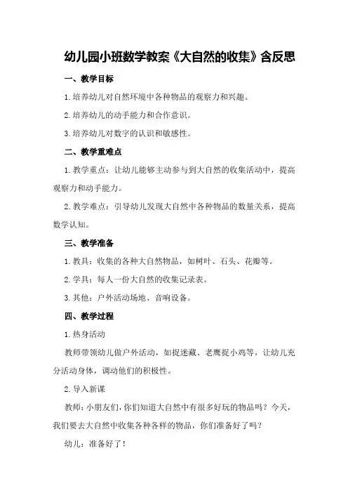 幼儿园小班数学教案《大自然的收集》含反思