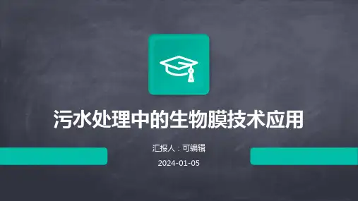 污水处理中的生物膜技术应用