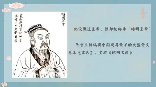 16.《夏天里的成长》课件(共41张PPT)