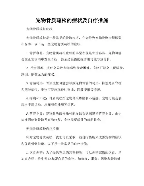 宠物骨质疏松的症状及自疗措施