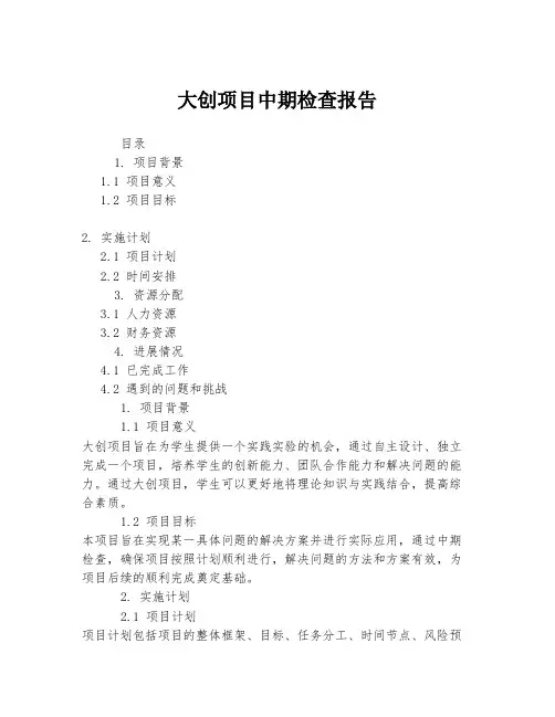 大创项目中期检查报告