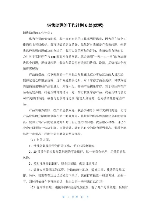 销售助理的工作计划6篇(优秀)
