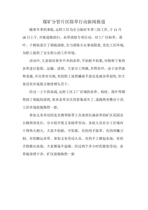 煤矿分管片区除草行动新闻报道