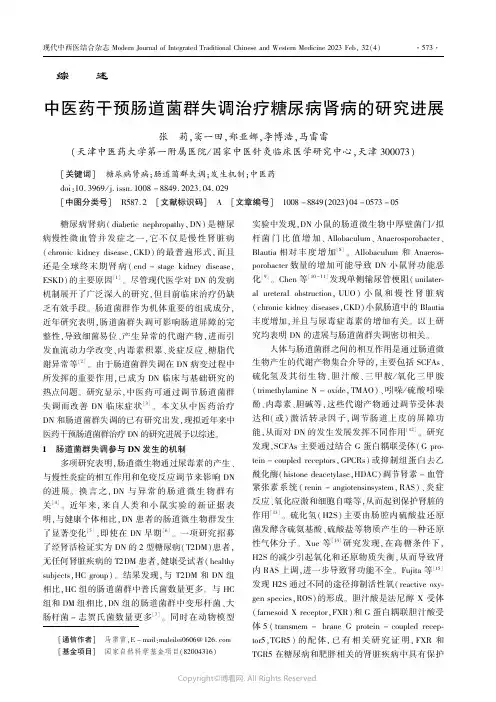 中医药干预肠道菌群失调治疗糖尿病肾病的研究进展
