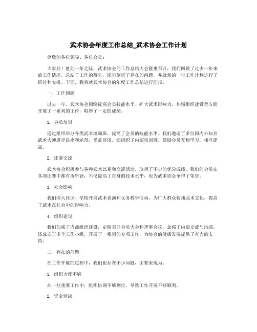 武术协会年度工作总结_武术协会工作计划