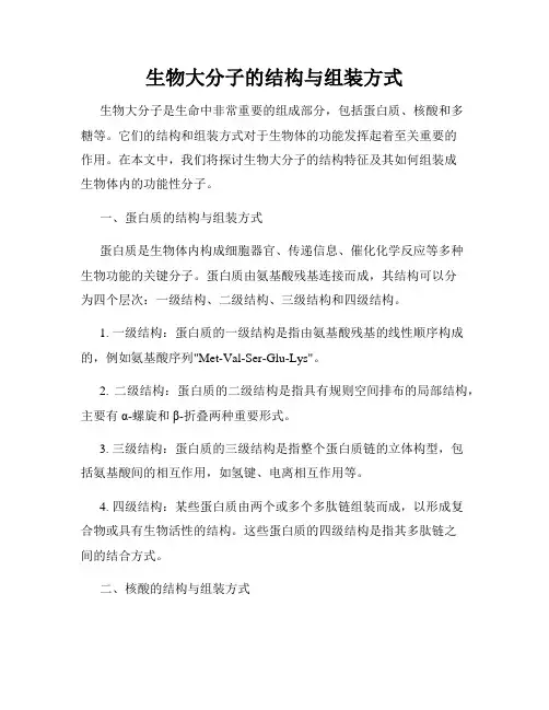 生物大分子的结构与组装方式
