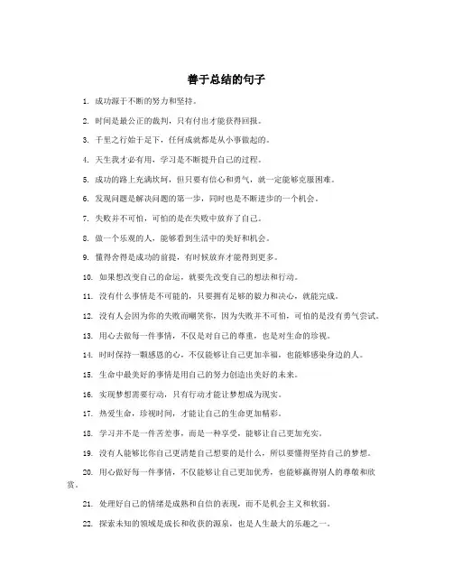 善于总结的句子