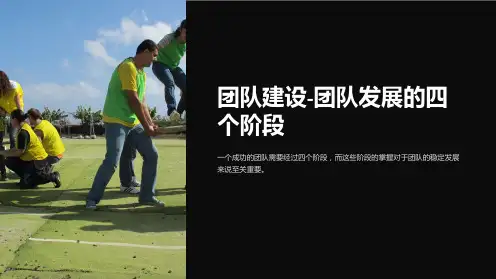 团队建设-团队发展的四个阶段