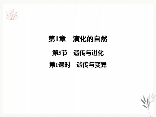 浙教版九级科学下册课件PPT5