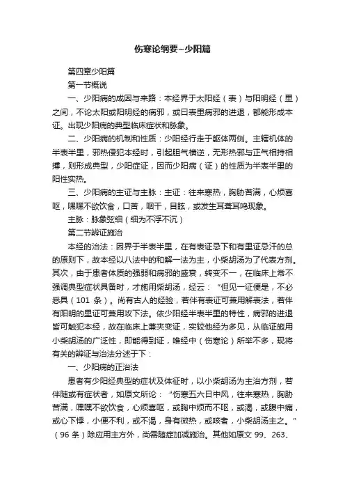 伤寒论纲要~少阳篇
