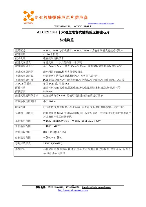 WTC6216BSI规格书V1_5