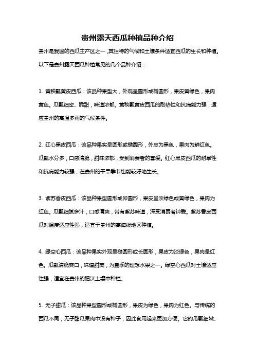 贵州露天西瓜种植品种介绍
